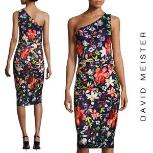 David Meister Floral Embroidered Cocktail Dress